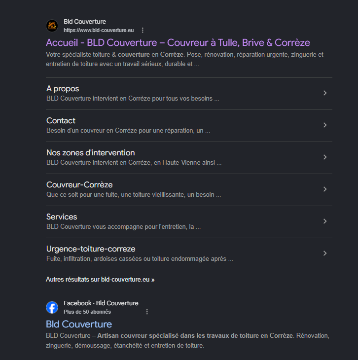 Résultat Google BLD Couverture
