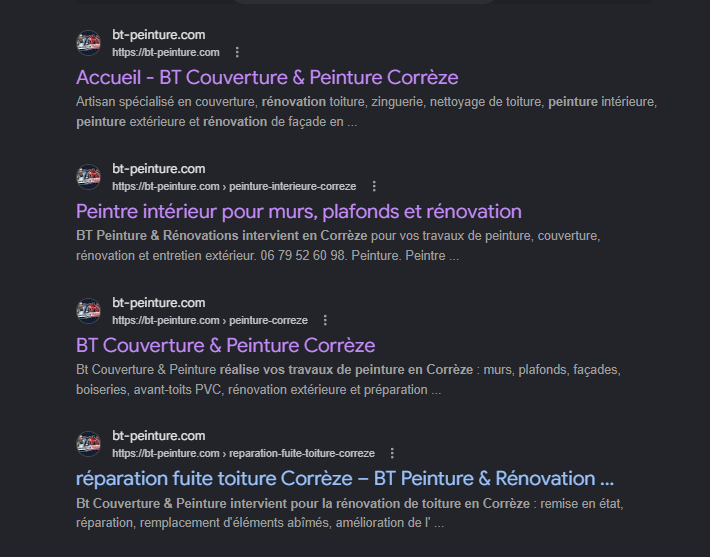 Résultat Google BT Couverture et Peinture