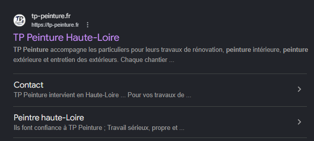 Référencement Google TP Peinture Haute-Loire